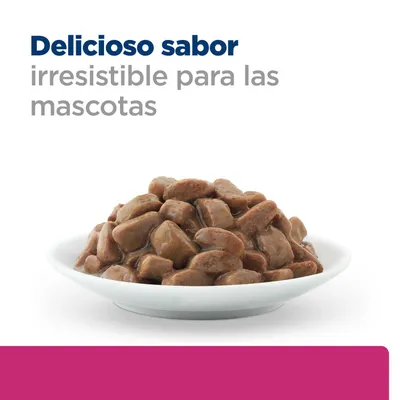 Tarrina con trozos de carne marrón en salsa, Texto: Delicioso sabor, irresistible para las mascotas.