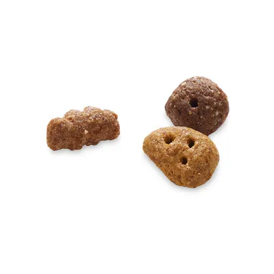 Drei verschiedene Formen von Trockenfutterstücken in braunen und goldenen Farbtönen.