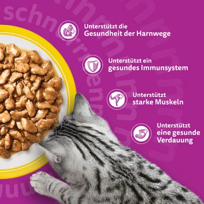 Jumbopack Whiskas Senior Frischebeutel 96 x 85 g Jumbopack Whiskas Senior Frischebeutel 96 x 85 g