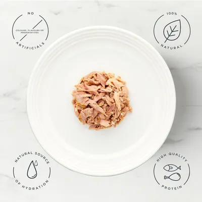 Encore Cat Tin 16 x 70g