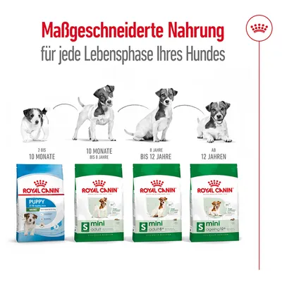 Royal Canin hrana za pse v različnih življenjskih obdobjih: Puppy 2–10 mesecev, Mini Adult 10 mesecev do 8 let, Mini Adult 8+ 8 do 12 let, Mini Ageing 12+ od 12 let.