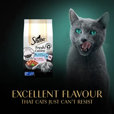 Sheba Fresh Cuisine cat food pack, Taste of Tokyo, 2x with tuna and rice, 4x with salmon and rice, 6x 50g. Text: Excellent flavour that cats just can’t resist.