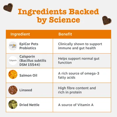Ingrediente și beneficii: EpiCor Pets Probiotics, Calsporin (Bacillus subtilis DSM 15544), ulei de somon, semințe de in, urzică uscată, fiecare cu propriile beneficii pentru sănătate. Ingrediente și beneficii: EpiCor Pets Probiotics, Calsporin (Bacillus subtilis DSM 15544), ulei de somon, semințe de in, urzică uscată, fiecare cu propriile beneficii pentru sănătate.