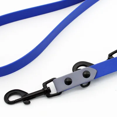 Blaue Hundeleine mit schwarzem Karabinerhaken und grauem Lederdetail mit zwei schwarzen Nieten.