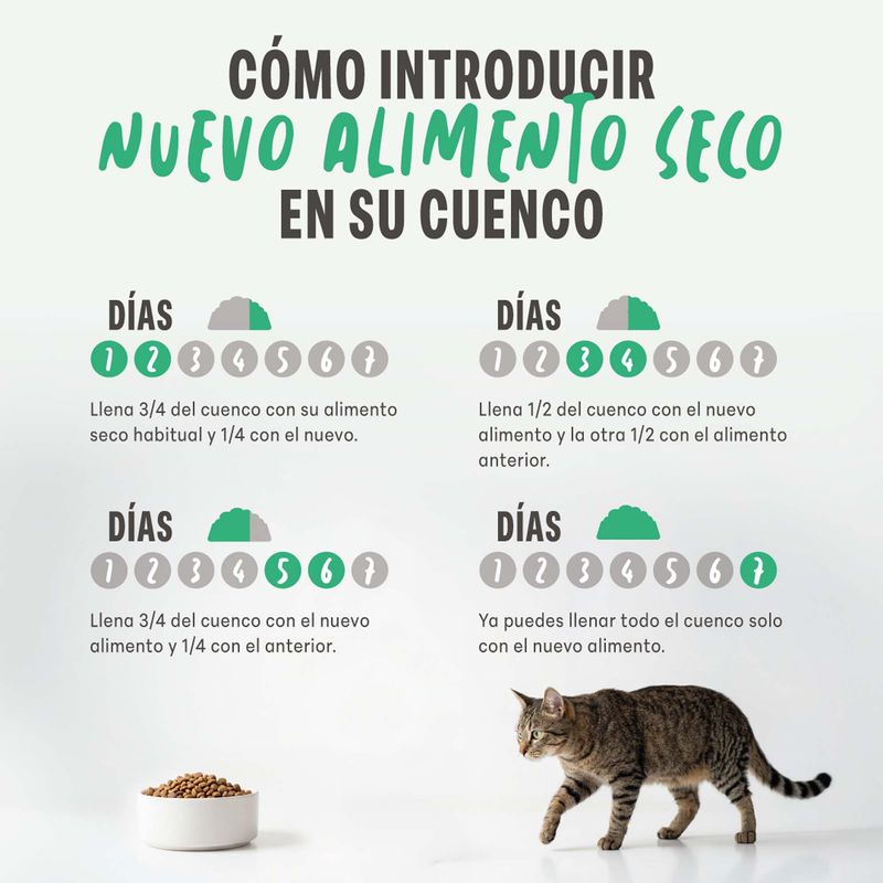 Schesir Adult Monoprotein con pollo