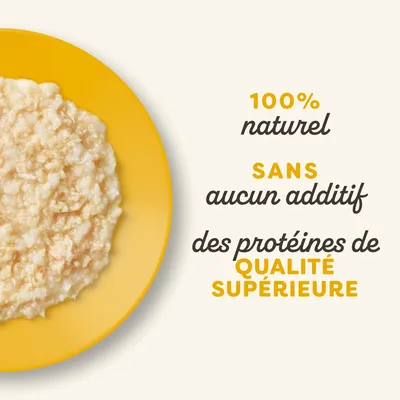 Lot économique Applaws Natural Kitten au bouillon 48 x 50 g