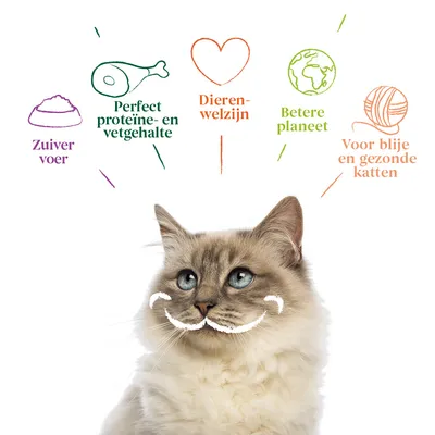 Zuiver voer, Perfect proteïne- en vetgehalte, Dierenwelzijn, Betere planeet, Voor blije en gezonde katten. Tekst met illustraties boven een kat.