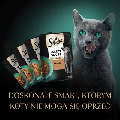 Sheba Select Slices w sosie z kaczką, 85 g saszetka. Slogan reklamowy: Nieodparte smaki, którym koty nie mogą się oprzeć. Sheba Select Slices w sosie z kaczką, 85 g saszetka. Slogan reklamowy: Nieodparte smaki, którym koty nie mogą się oprzeć.