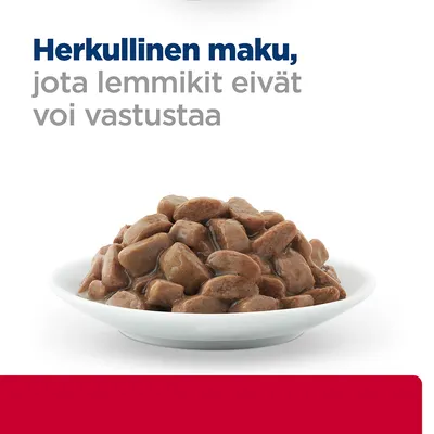 Herkullinen maku, jota lemmikit eivät voi vastustaa. Valkoisella lautasella ruskeita kastikkeessa olevia paloja.