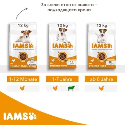 Три опаковки IAMS 12 кг с пиле за кучета: 1–12 месеца, 1–7 години и над 8 години. Видими етикети: Mit Frischen Huhn, S/M <25 kg, 100 %. Текст на немски за възрастови групи.