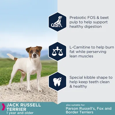 Prebiotic FOS and beet pulp for digestion, L-Carnitine to burn fat and preserve muscles, special kibble shape for clean teeth. Suitable for Jack Russell Terrier, Parson Russell's, Fox and Border Terriers.