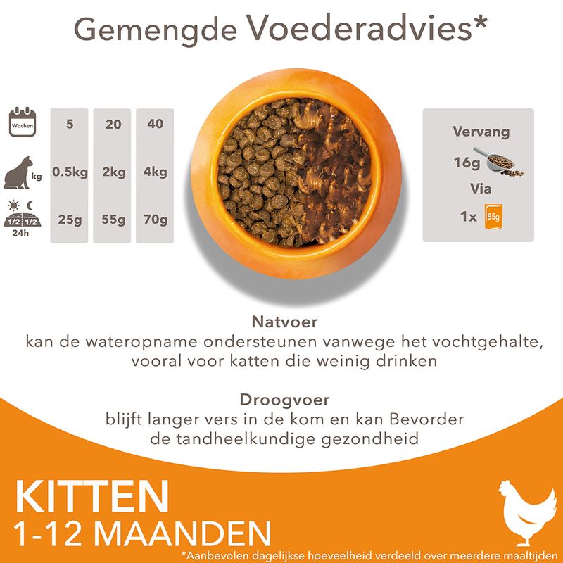 IAMS Advanced Nutrition Kitten met Kip