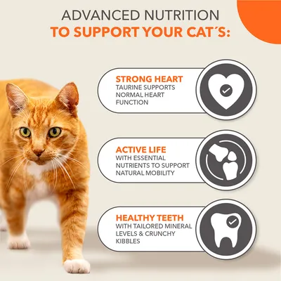 Advanced nutrition benefits: taurine supports normal heart function, essential nutrients aid mobility, tailored minerals and crunchy kibbles help maintain healthy teeth.