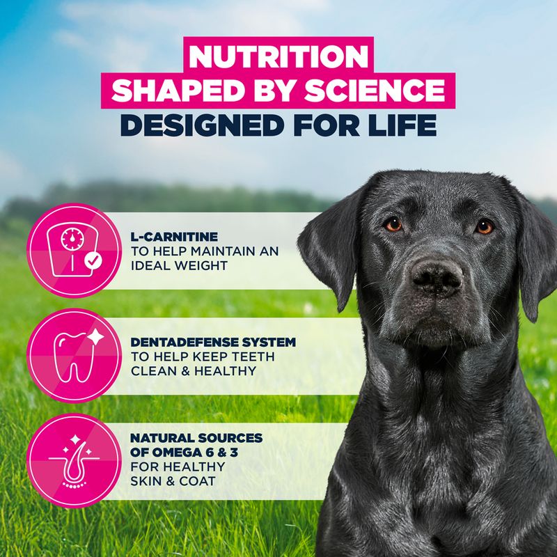 Eukanuba Premium Nutrition Mature Large & Giant Breed Kylling