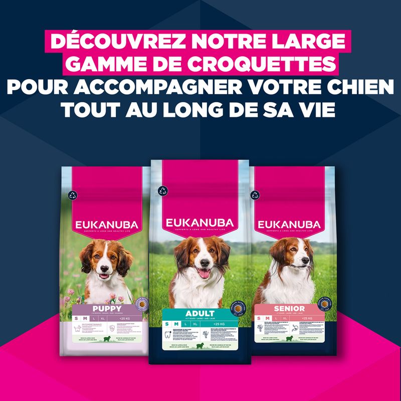 Eukanuba Premium Nutrition Senior Small et Medium Breed Agneau et Riz pour chien