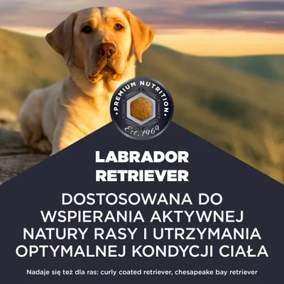 Premium Nutrition Est. 1969. Labrador retriever. Wspiera aktywną naturę i optymalną kondycję ciała. Odpowiedni także dla curly coated retriever, chesapeake bay retriever. Premium Nutrition Est. 1969. Labrador retriever. Wspiera aktywną naturę i optymalną kondycję ciała. Odpowiedni także dla curly coated retriever, chesapeake bay retriever.