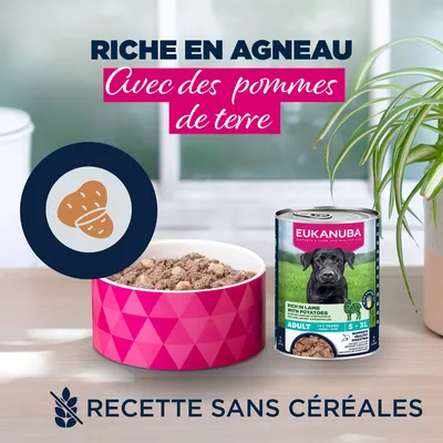 Eukanuba Adult Riche en agneau et pommes de terre