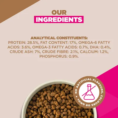 Eukanuba Grain Free Puppy Small & Medium Breed tengeri hal