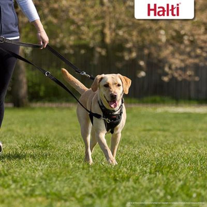 HALTI Trainingslijn