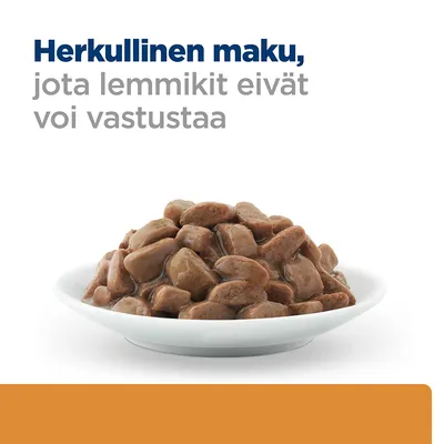 Lautasella märkäruokaa, yläpuolella teksti: Herkullinen maku, jota lemmikit eivät voi vastustaa.