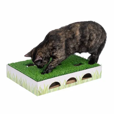Toy for cats with artificial grass and holes through which objects are visible. Cat interacts with the toy.