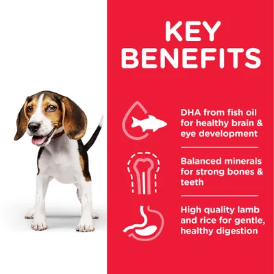 Hill's Science Plan Puppy <1 Medium med lam & ris