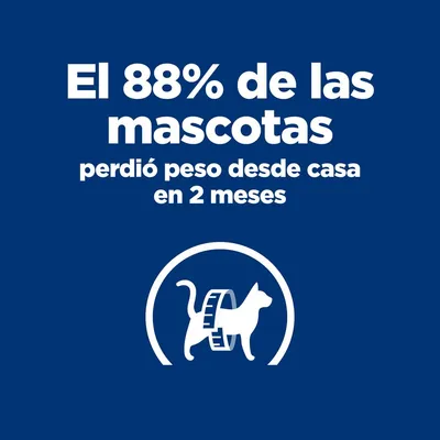 El 88% de las mascotas perdió peso desde casa en 2 meses