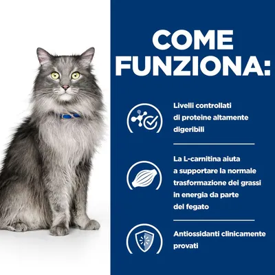 COME FUNZIONA: Livelli controllati di proteine altamente digeribili. La L-carnitina aiuta la trasformazione dei grassi in energia. Antiossidanti clinicamente provati.