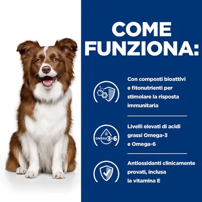 COME FUNZIONA: composti bioattivi e fitonutrienti per stimolare la risposta immunitaria, alti livelli di Omega-3 e Omega-6, antiossidanti clinicamente provati inclusa vitamina E
