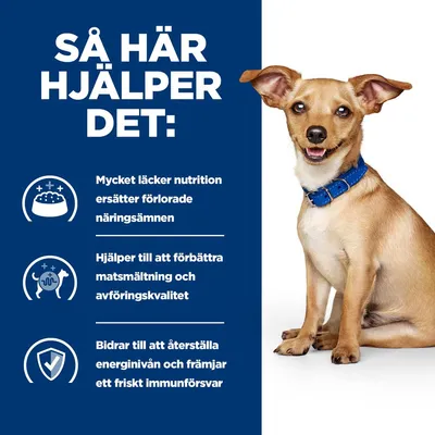Så här hjälper det: Mycket läcker nutrition ersätter förlorade näringsämnen, förbättrar matsmältning och avföringskvalitet samt återställer energinivå och immunförsvar.