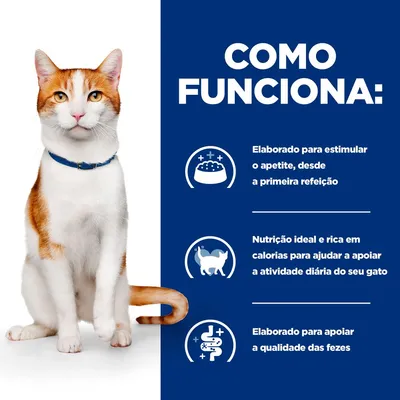 Texto: Como funciona. Elaborado para estimular o apetite, desde a primeira refeição. Nutrição ideal e rica em calorias para apoiar a atividade diária do seu gato. Apoia a qualidade das fezes.