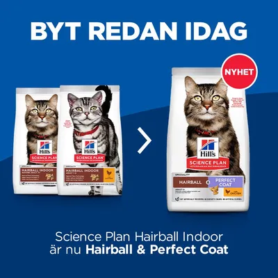 Hill's Science Plan Hairball Indoor kattmat byter namn till Hairball & Perfect Coat. Bild på gamla och nya förpackningar med texten 'NYHET' och 'BYT REDAN IDAG'.