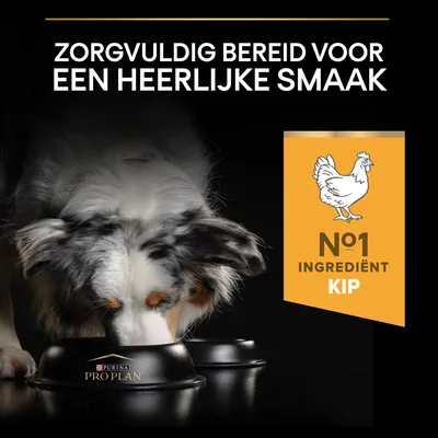 Purina Pro Plan hondenvoer, tekst: 'Zorgvuldig bereid voor een heerlijke smaak', badge met kip en tekst: 'Nr 1 ingrediënt kip'. Hond eet uit zwarte voerbak.