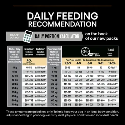 Daglig fodringsvejledningstabel for hunde: anbefalede mængder i gram pr. dag efter kropsvægt, alder og livsstadie. Tekst: Daily Portion Calculator. Alle værdier og aldersintervaller synlige.