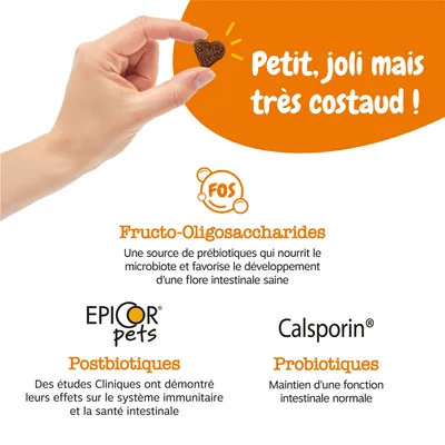 Petit, joli mais très costaud ! Fructo-Oligosaccharides : source de prébiotiques. EPICOR pets Postbiotiques, Calsporin Probiotiques. Texte en français belge.