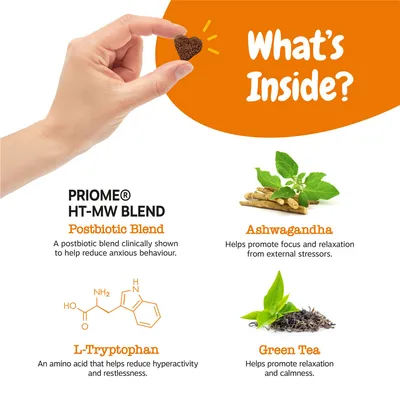 Text v angličtine: What's Inside? PRIOME HT-MW BLEND, Postbiotic Blend, Ashwagandha, L-Tryptophan, Green Tea. Zobrazená ruka drží srdcový pamlsek, bylinky a chemický vzorec.