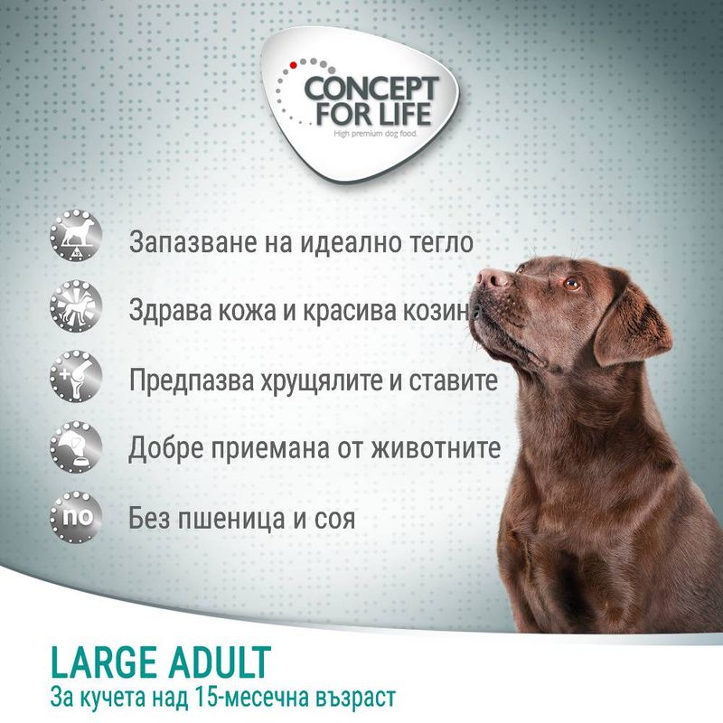 Concept for Life Large Adult