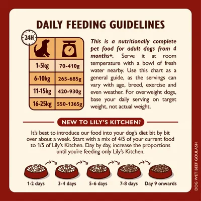 Lily's Kitchen Beef Goulash - Multibuy: 24 x 400g