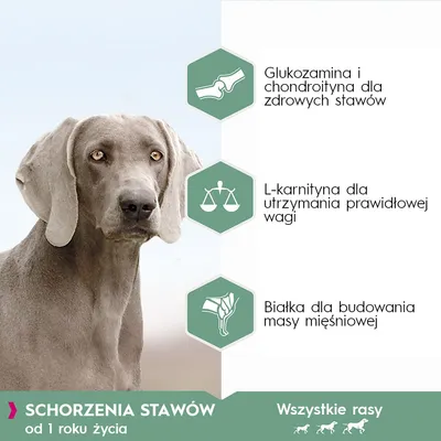 Glukozamina i chondroityna dla zdrowych stawów, L-karnityna dla utrzymania prawidłowej wagi, białka dla budowania masy mięśniowej. Schorzenia stawów od 1 roku życia, wszystkie rasy.