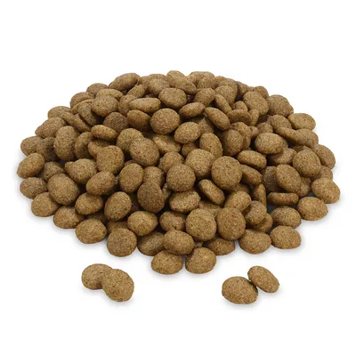 Hnedé, okrúhle kúsky suchého krmiva v kope, vhodné na zobrazenie obsahu produktu.