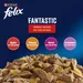 Felix Fantastic en bolsitas 44 x 85 g