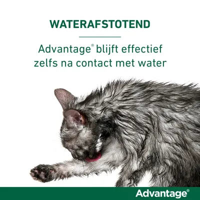 WATERAFSTOTEND. Advantage blijft effectief zelfs na contact met water. Advantage merknaam onderaan zichtbaar.