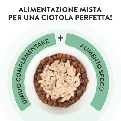 Schesir Complements in brodo Alimento umido per gatti, 6 x 70 g