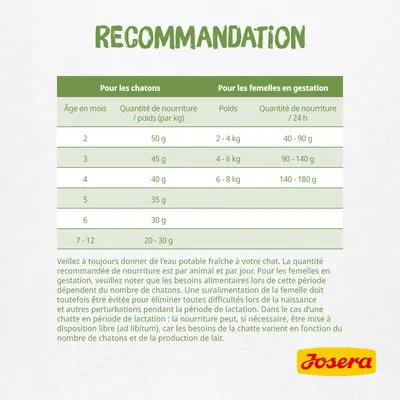 Tableau de recommandations Josera : quantités de nourriture pour chatons selon l’âge (2–12 mois) et pour femelles en gestation selon le poids (2–8 kg), doses 20–180 g/jour.