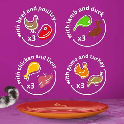 with beef and poultry x3, with lamb and duck x3, with chicken and liver x3, with game and turkey x3 shown in four circles on purple background