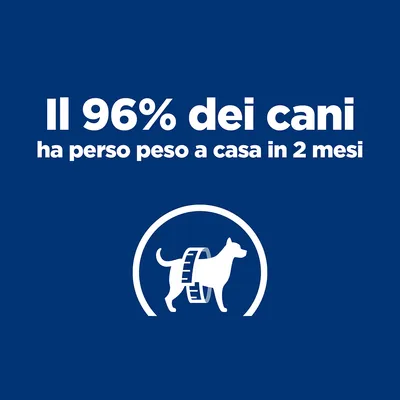 Il 96% dei cani ha perso peso a casa in 2 mesi, testo bianco su sfondo blu con icona di cane e metro.