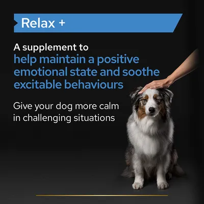 Relax +. A supplement to help maintain a positive emotional state and soothe excitable behaviours. Give your dog more calm in challenging situations. Az angol szöveg látható.