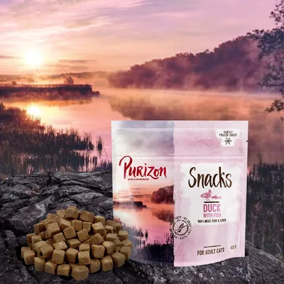 Purizon Snacks, duck with fish, 100% meat, fish and liver, gently freeze-dried, for adult cats. Image shows product packaging and cube-shaped treats.