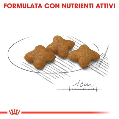 Tre crocchette a forma di stella, dimensione indicata 1 cm, testo in alto: FORMULATA CON NUTRIENTI ATTIVI.