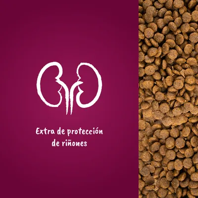 Pienso marrón a la derecha y gráfico de riñones con el texto: Extra de protección de riñones.